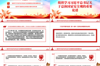 四月份主题党日PPT红色精美学习总体国家安全观主题微党课