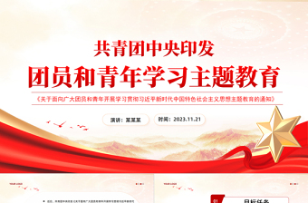 团员和青年主题教育PPT精美红色加强对共青团员的政治锻造和对广大青年的政治引领团课课件