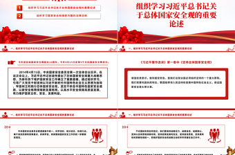 4月主题党日活动PPT红色简洁学习总体国家安全观主题党课课件