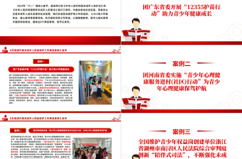 8个关于《共青团开展未成年人权益保护工作典型案例》PPT课件