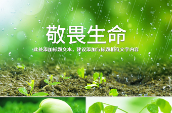 原创唯美绿色植物发芽植物生长敬畏生命PPT模板-版权可商用