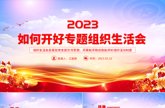 2023党支部组织生活的会议ppt