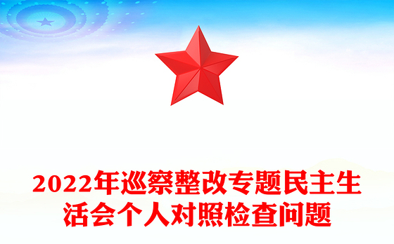 2022年巡察整改专题民主生活会个人对照检查问题