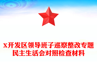 X开发区领导班子巡察整改专题民主生活会对照检查材料