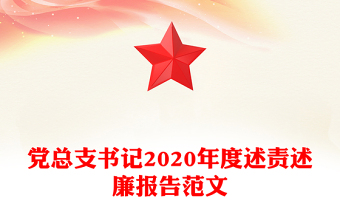 党总支书记2020年度述责述廉报告范文