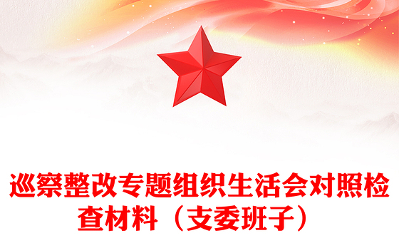 巡查整改组织生活会