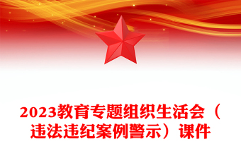 教育专题组织生活会（违法违纪案例警示）