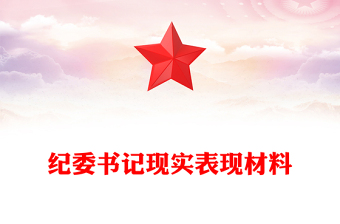 纪委书记现实表现材料