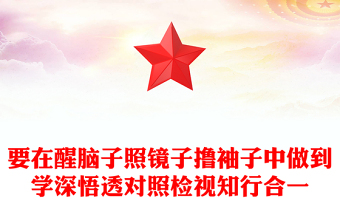 大气精美党纪学习教育之要在醒脑子照镜子撸袖子中做到学深悟透对照检视知行合一PPT下载(讲稿)