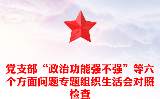 党支部“政治功能强不强”等六个方面问题专题组织生活会对照检查