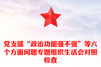 党支部“政治功能强不强”等六个方面问题专题组织生活会对照检查
