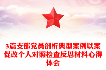3篇支部党员剖析典型案例以案促改个人对照检查反思材料心得体会