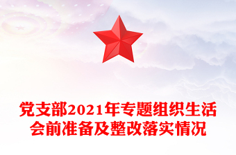 专题组织生活会整改落实情况
