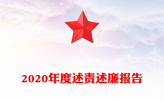 2020年度述责述廉报告