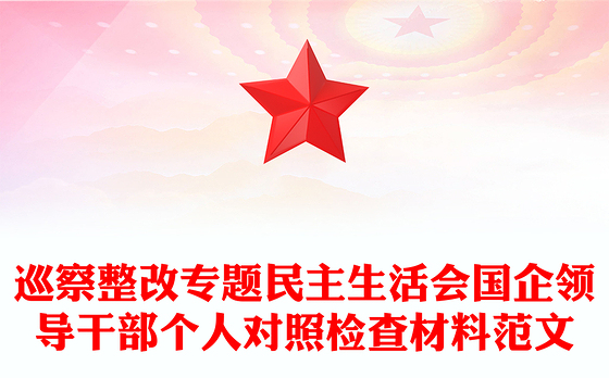 巡察整改专题民主生活会国企领导干部个人对照检查材料范文