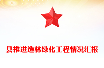 县推进造林绿化工程情况汇报