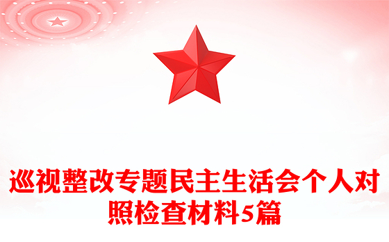 巡视整改专题民主生活会个人对照检查材料5篇