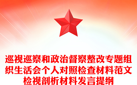 巡视巡察和政治督察整改专题组织生活会个人对照检查材料范文检视剖析材料发言提纲
