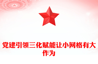 党建引领三化赋能让小网格有大作为PPT党建引领网格化管理机制基层治理专题课件(讲稿)