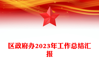 2023年区政府办工作总结PPT大气简洁党政工作汇报模板(讲稿)