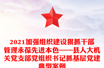 2021加强组织建设狠抓干部管理永葆先进本色——县人大机关党支部党组织书记抓基层党建典型案例