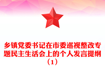乡镇党委书记在市委巡视整改专题民主生活会上的个人发言提纲（1）