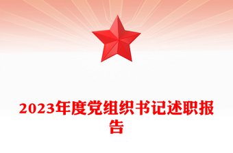党组织书记述职报告PPT精美大气年终党建总结模板下载(讲稿)