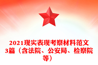 2021现实表现考察材料范文3篇（含法院、公安局、检察院等）