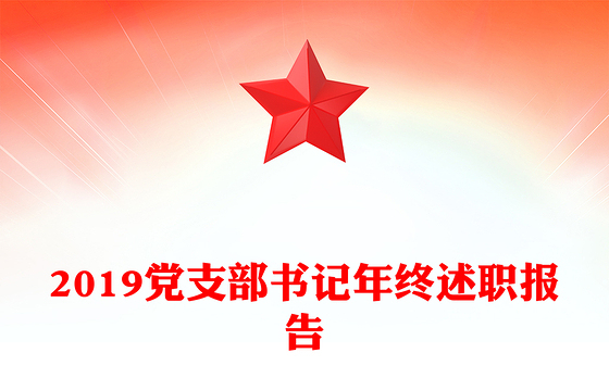 2019党支部书记年终述职报告