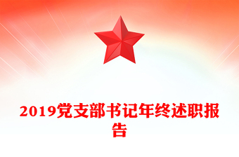 2019党支部书记年终述职报告
