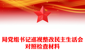 巡查整改对照检查材料