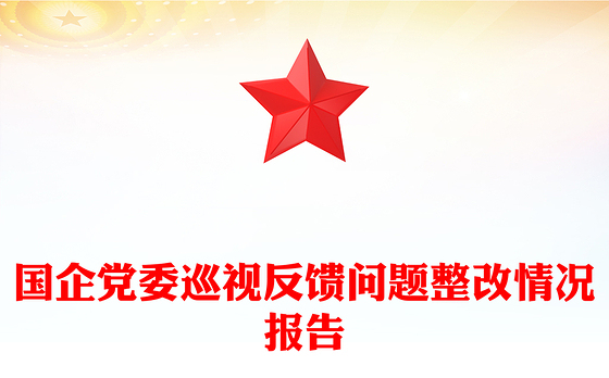 国企党委巡视反馈问题整改情况报告