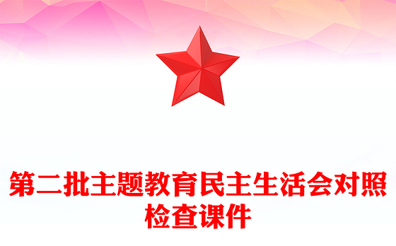 第二批主题教育民主生活会对照检查