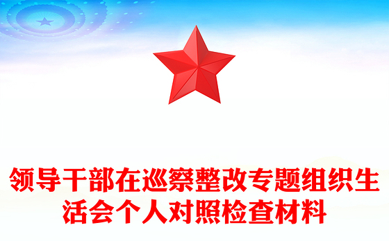 领导干部在巡察整改专题组织生活会个人对照检查材料