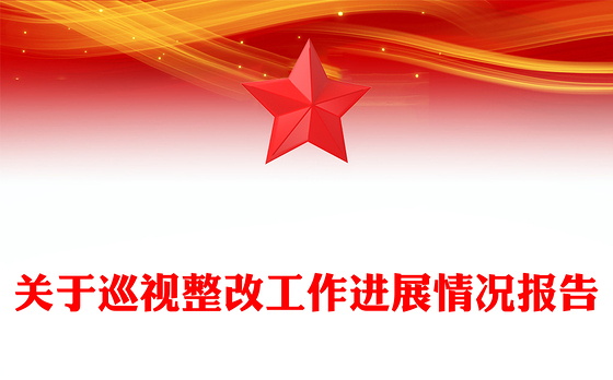 关于巡视整改工作进展情况报告