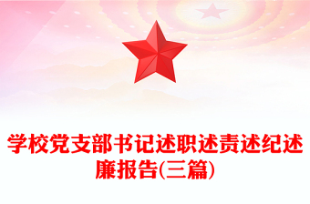 2023农村党支部书记述职