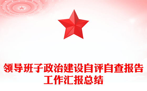 领导班子政治建设自评自查报告工作汇报总结