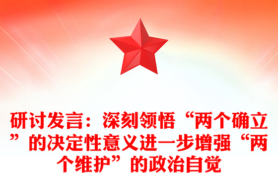 研讨发言：深刻领悟“两个确立”的决定性意义进一步增强“两个维护”的政治自觉