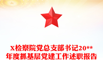 X检察院党总支部书记20**年度抓基层党建工作述职报告