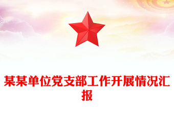 某某单位党支部工作开展情况汇报