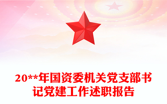 20**年国资委机关党支部书记党建工作述职报告