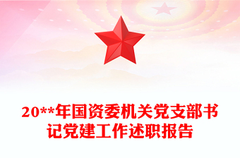 20**年国资委机关党支部书记党建工作述职报告