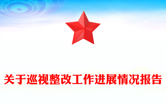 关于巡视整改工作进展情况报告