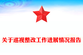 关于巡视整改工作进展情况报告
