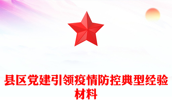 县区党建引领疫情防控典型经验材料