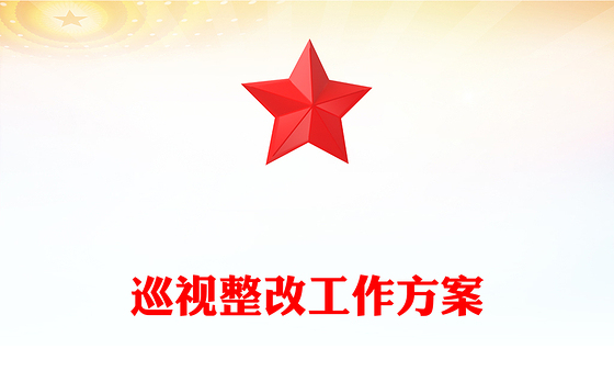 巡视整改工作方案