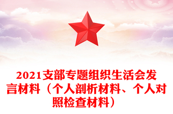 2021支部专题组织生活会发言材料（个人剖析材料、个人对照检查材料）