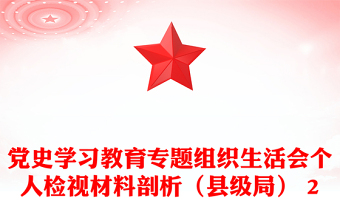 党史学习教育专题组织生活会个人检视材料剖析（县级局） 2