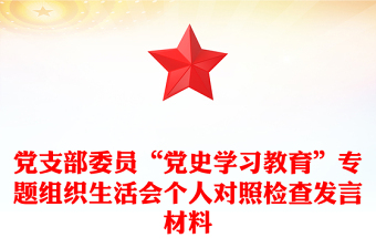 党支部委员“党史学习教育”专题组织生活会个人对照检查发言材料