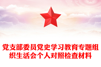 党支部委员党史学习教育专题组织生活会个人对照检查材料